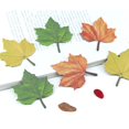 thumbnail image 4 of Fall Sticky Notes,50PC Maple Leaf Shaped Self-Stick Note,Cute Autumn Maple Shape Note Pads,Seasonal Fall Leaf Shaped Memo Sheets,Double Sided Self-Adhesive Fall Leaf Shape Memo Slip for Daily Use, 4 of 4