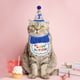 thumbnail image 5 of Decoraciones de Cumpleaños para Gatos Sombrero y Bandana Azul, 5 of 7