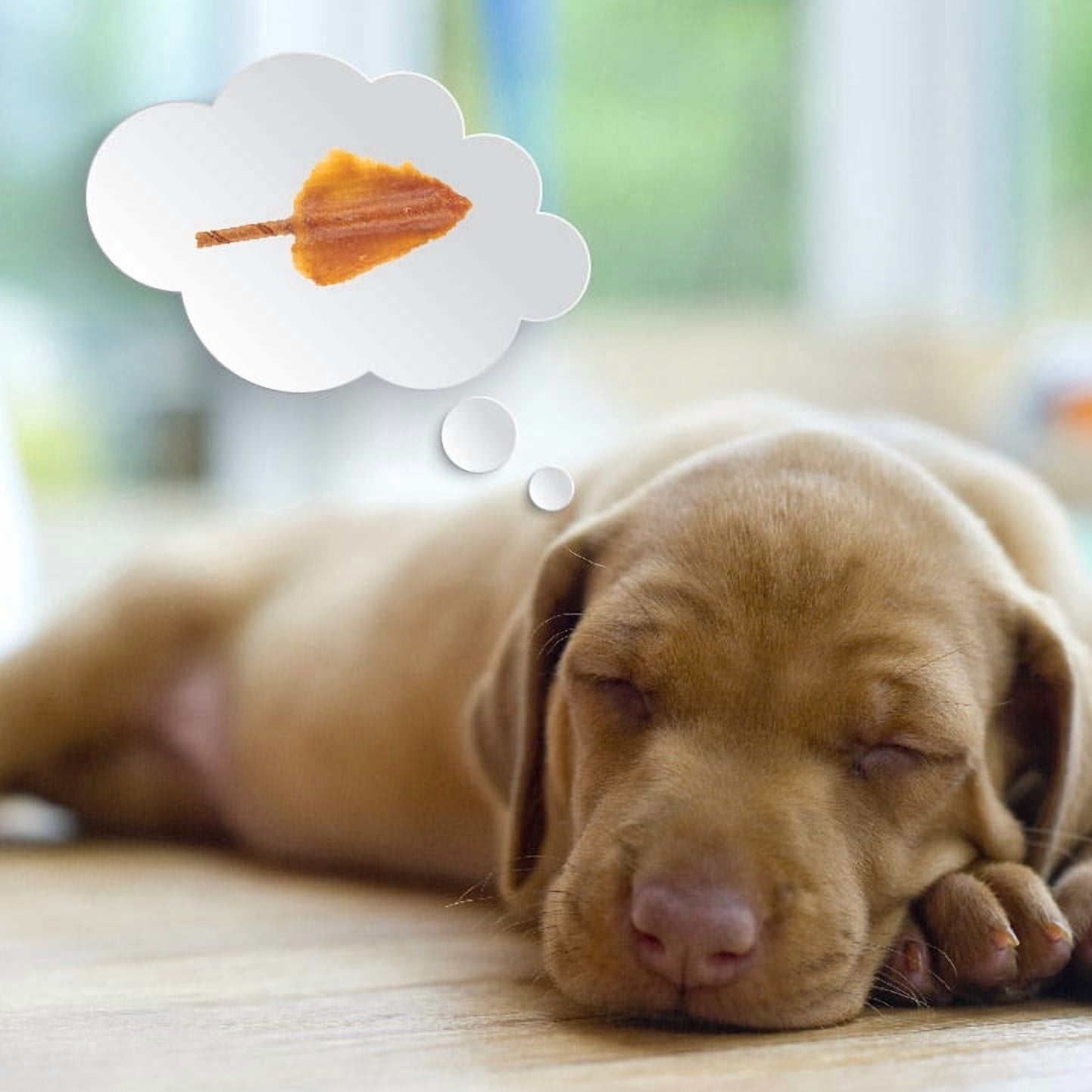 (5 pack) DreamBone Triple Flavor Wings Rawhide-Free Chews for Dogs, Made with Real Peanut Butter, 10 Count