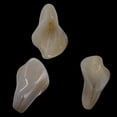 thumbnail image 3 of Chalcedony Calla Lily Flower Beads | 22x11x2.5mm to 27x11x2mm | White | 3 Beads|, 3 of 9
