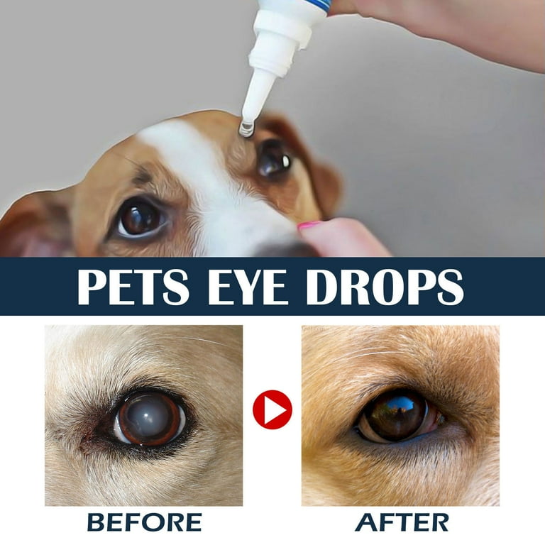 Genteal drops for dogs sales