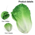 thumbnail image 2 of Simulation lettuce realistic vegetable decoration lettuce PU fake vegetable, 2 of 6