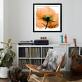 thumbnail image 4 of Art.com Poppy Orange Photographic Print by Albert Koetsier, Black Frame Wall Art, 38" x 38", 4 of 5