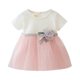 thumbnail image 1 of Vestidos De Tutú De Malla Para Niños Pequeños , Ropa De Fiesta De Cumpleaños De 0 A 3 Años , Vestido De Princesa Para Niña 12, 1 of 4