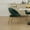 Green, variant on CQSXDA Teddy Dining Chair Set With Curved Backrest and Gold Metal Legs for Kitchen or Dining Room