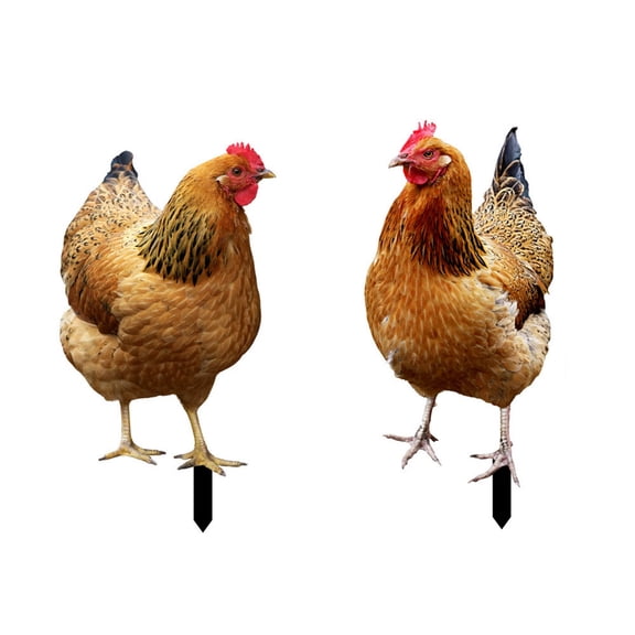 Realistic Chicken Shaped Garden Yard Art Decor Metal Stake Outdoor Animal Silhouette Ornament for Lawn Pathway Landscape Decoration