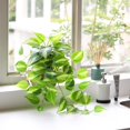 thumbnail image 4 of Artificial Devil's Ivy Golden Pothos Fake Plant,Hanging Potted Plants for Wall Home Patio Indoor Outdoor Decor(H 26in) Medium, 4 of 5