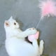 thumbnail image 3 of Gato cabeza vaso gato juguete pluma divertido interactivo mascota gato juguete,11 Feliz Sencillez, 3 of 4