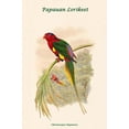 thumbnail image 1 of Charmosyna Papuensis - Papauan Lorikeet-Fine Art Canvas Print (20" x 30"), 1 of 1
