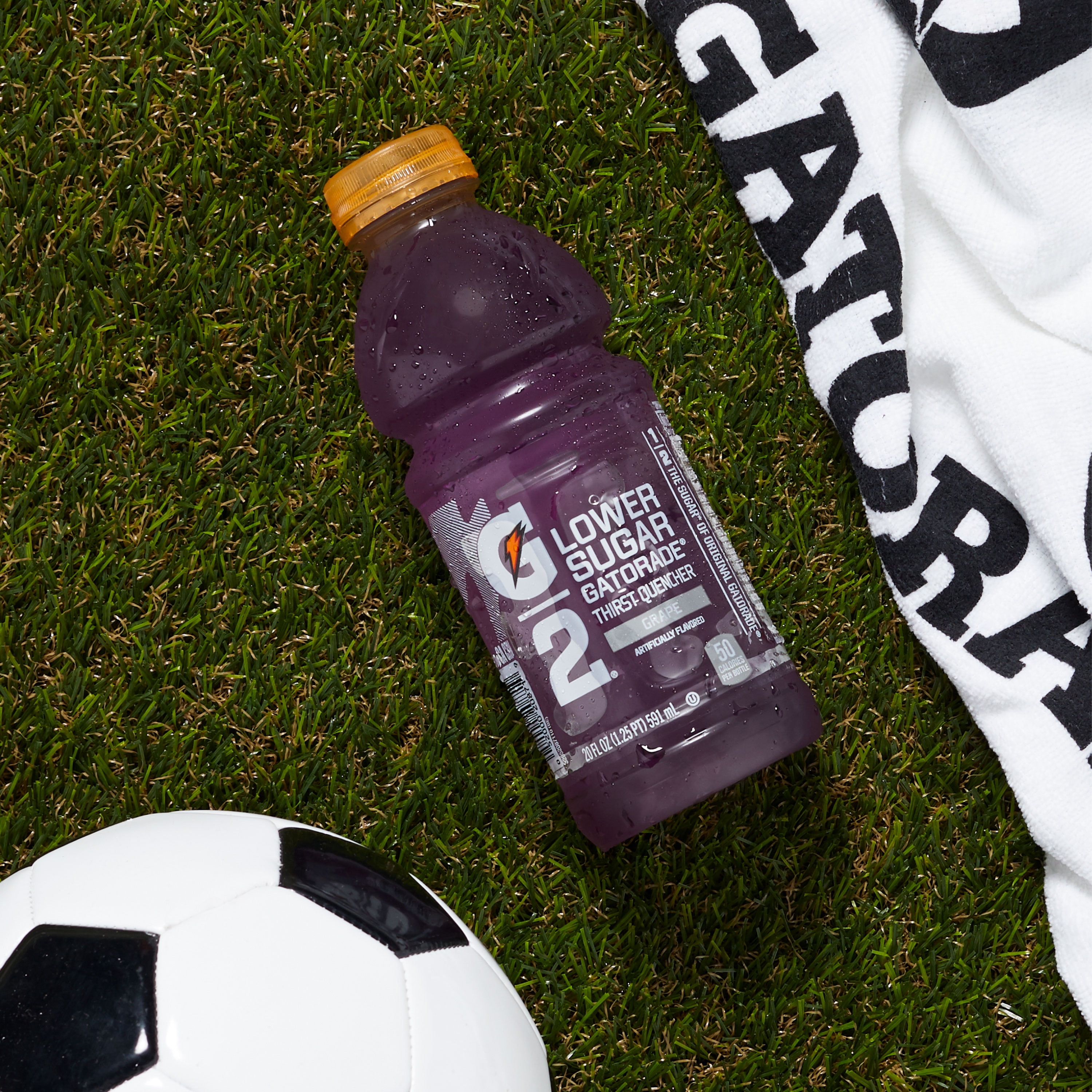(12 Bottles) Gatorade G2 Thirst Quencher Low Calorie Sports Drink, Grape, 20 fl oz