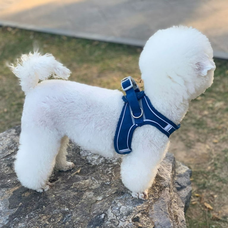 Velvet dog cheap harness