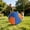 M, variant on Herding Ball for Dogs, Herding Toy with Protective Cover, Durable Giant Dog Ball for Australian Shepherd, Cattle Dog, Border Collie for Outdoor Play, Exercise Ball for Training and Agility