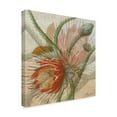 thumbnail image 2 of Trademark Fine Art 'Desert Botanicals II' Canvas Art by John Butler, 2 of 4
