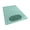 Green, variant on Partheme 15x27in Bathroom Mat Bath Drop Resistance Household, Toilet Shower Room Sucker Floor Mat with Massage Foot Texture, Non Slip PVC, Green