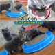 thumbnail image 2 of Juguete rascador para gatos, juguete para gatos, almohadilla para poste, juguete interactivo de entrenamiento con ratón y pelota, azul, 2 of 5