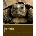 thumbnail image 1 of Tortoise - Pet Expert: Understanding and Caring for Your Pet (Pet Expert), 1 of 2