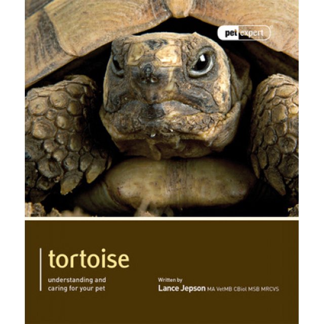 Tortoise - Pet Expert: Understanding and Caring for Your Pet (Pet Expert)