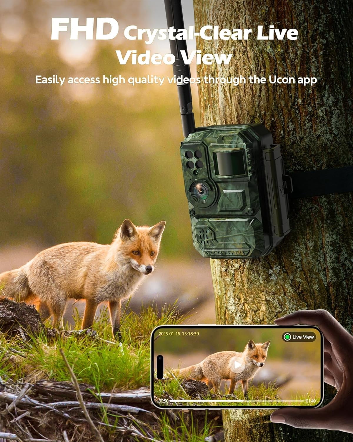 CAMPARK 2 Pack Trail Camera with 4G Cellular Solar, 1080P Hunting Game Camera with Live View and Motion Alerts, Color Night Vision IP66 Waterproof for Wildlife Monitoring