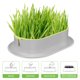 thumbnail image 3 of unbranded 2Ud Kit De Cultivo De Para Hydroponico Caja Para Mascotas, 3 of 6