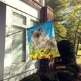 thumbnail image 2 of Carolines Treasures CK3157CHF Poupée Ragdoll en Tournesols Drapeau Toile Taille Maison, 2 of 4