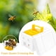 thumbnail image 1 of Bee Hive Beekeeping King Box Caja De Polinización Herramienta De Apicultura Minnieouse HA035018-00, 1 of 6