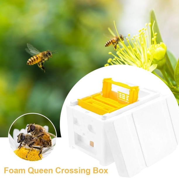Bee Hive Beekeeping King Box Caja De Polinización Herramienta De Apicultura Minnieouse HA035018-00