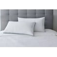 Member's Mark Hotel Premier Collection King Size Bed Pillows, 100