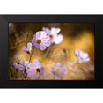 thumbnail image 2 of Bravin, Fabien 24x17 Black Modern Framed Museum Art Print Titled - The Lion King, 2 of 5
