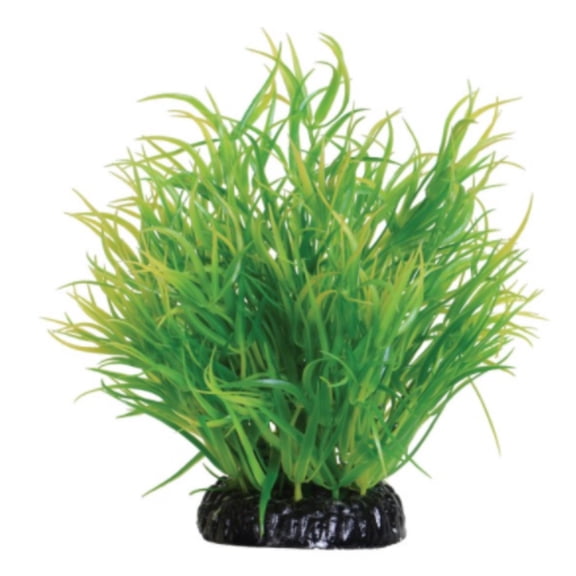 Underwater Treasures Lemon Grass - 6"
