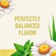 thumbnail image 3 of Tea Celestial Seasonings, manzanilla, hierbas, sin cafeína, 25 bolsas, 3 of 5
