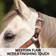 Schneiders McKenzie Padded Leather Ranch Halter for Horses | Size Full Horse