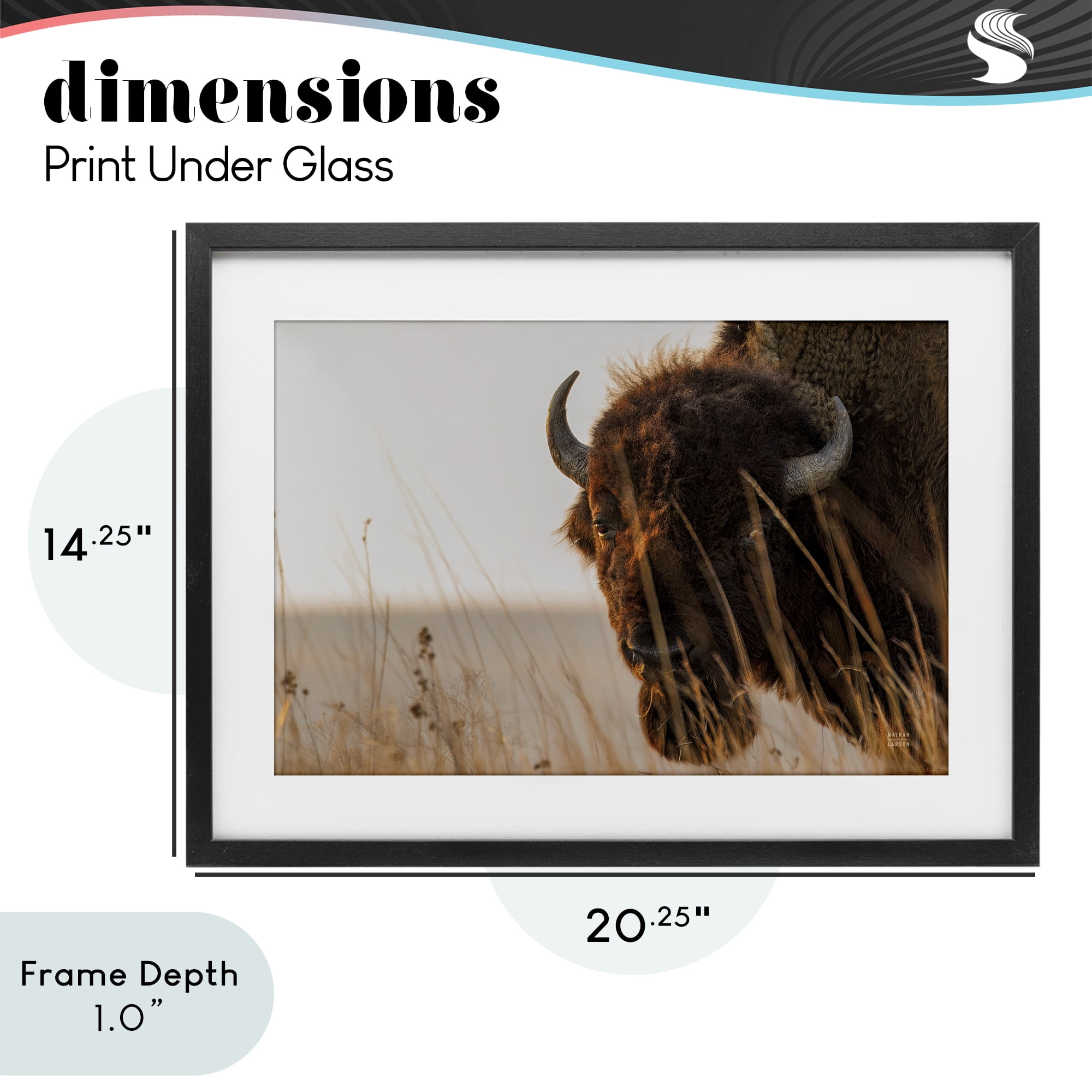 Stupell Industries Bison Sunset on Golden Prairie Black Framed Print Under Glass, design by Nathan Larson