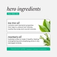 thumbnail image 4 of HASK® Tea Tree Oil & Rosemary Invigorating Shampoo, 4 of 9
