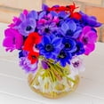 thumbnail image 3 of Easy to Grow Anemone Monarch de Caen Mix 60 Plant Bulbs, Spring Bloom Sun, 3 of 5