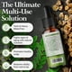 thumbnail image 5 of Aceite de semilla de moringa Moringa virgen prensado en frío 100% puro, 5 of 9