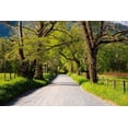 thumbnail image 2 of Wells, Joanne 24x17 Black Ornate Wood Framed with Double Matting Museum Art Print Titled - Tennessee-Sparks Lane in the spring at Cades Cove, 2 of 4