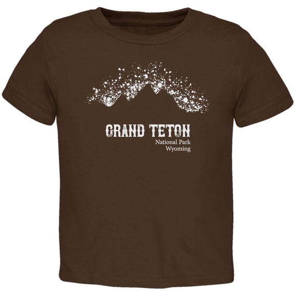 National Parks Grand Teton Mountain Splatter Toddler T Shirt Brown 3T