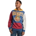 thumbnail image 2 of Bioworld Chandail à Capuchon Graphique pour Adulte Harry Potter Varsity Hogwarts Multicolore, 2 of 7