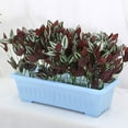 thumbnail image 4 of Rectangular pot Herb pot Houseplant Plastic herb pot for balcony home decoration, 4 of 5