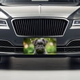 thumbnail image 3 of Affenpinscher Dog Puppy Photo Metal Novelty License Plate, 3 of 7