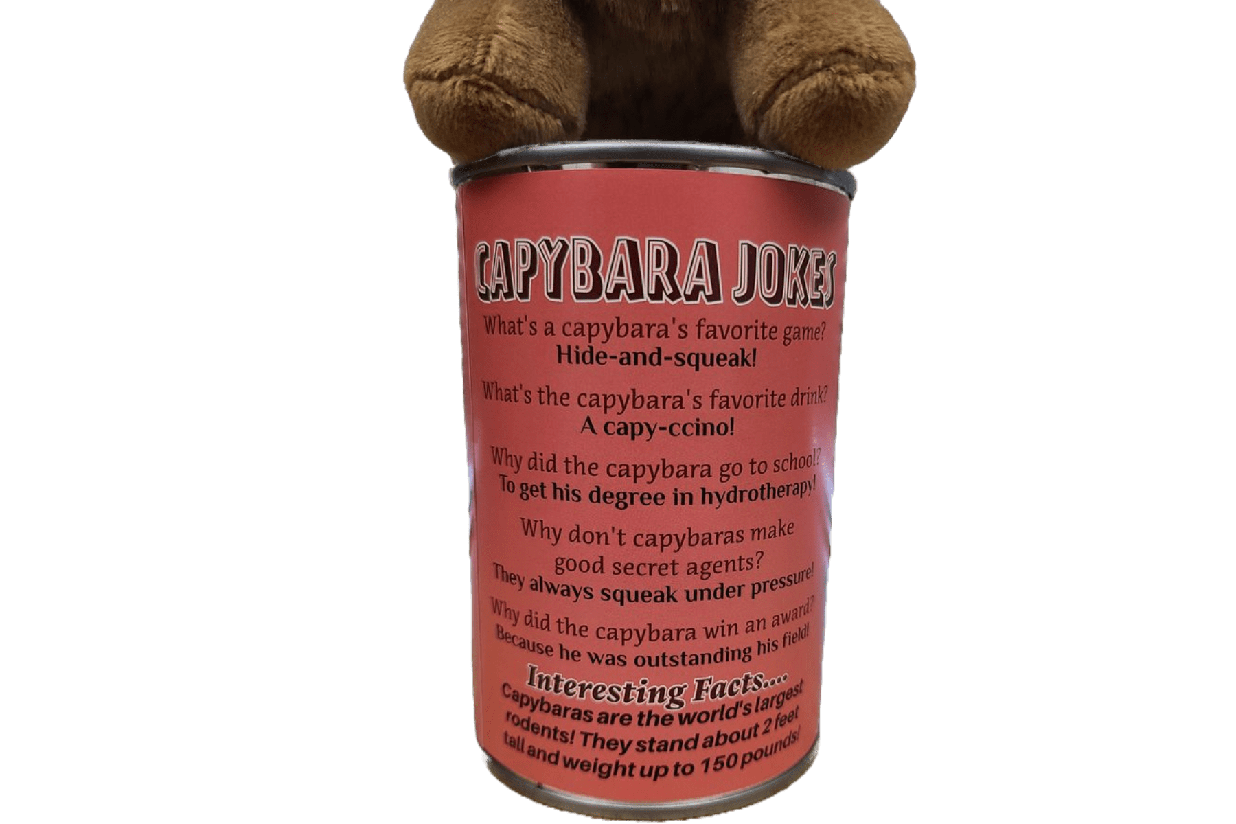 Canned Capybara | Stuffed Plush Toy | Ecofriendly Unique Fun Gift!