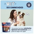 thumbnail image 5 of Pawstruck Natural Beef Jerky Chew Treats for Dogs, 4-6" Strips - 15 Count, 5 of 9