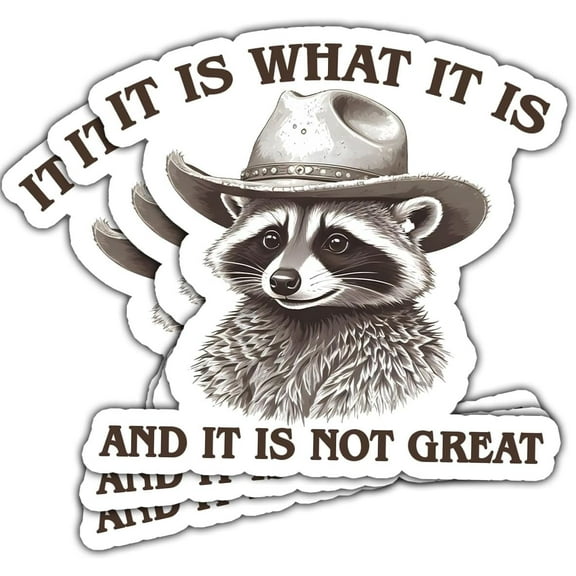 It is What It is and It Not Great Sticker, Funny Raccoon Sticker - Stickers for Laptop Water Bottle Phone Car Window Helmet Vinyl Stickers 3 Inches (3x3inch)
