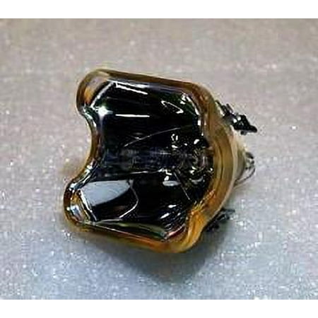 

69801 Bulb