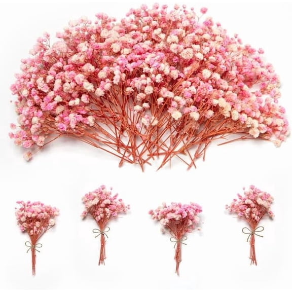 1500 Mini Pink Dried Babys Breath Flowers, 50pcs Baby Breath Bouquet, 6'' Natural Gypsophila Bulk, Dried Flowers for Gifts, DIY Crafts, Wedding Decor, Card Making, Vase Filler, Wreath Floral