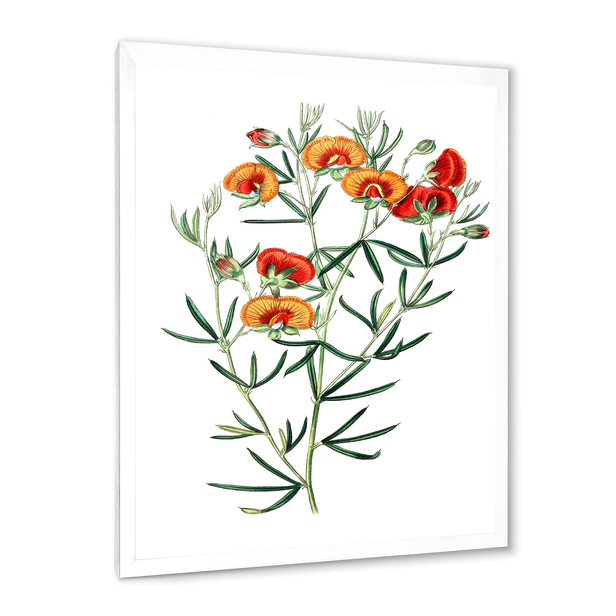 Designart 'Ancient American Flora VIII' Traditional Framed Art Print