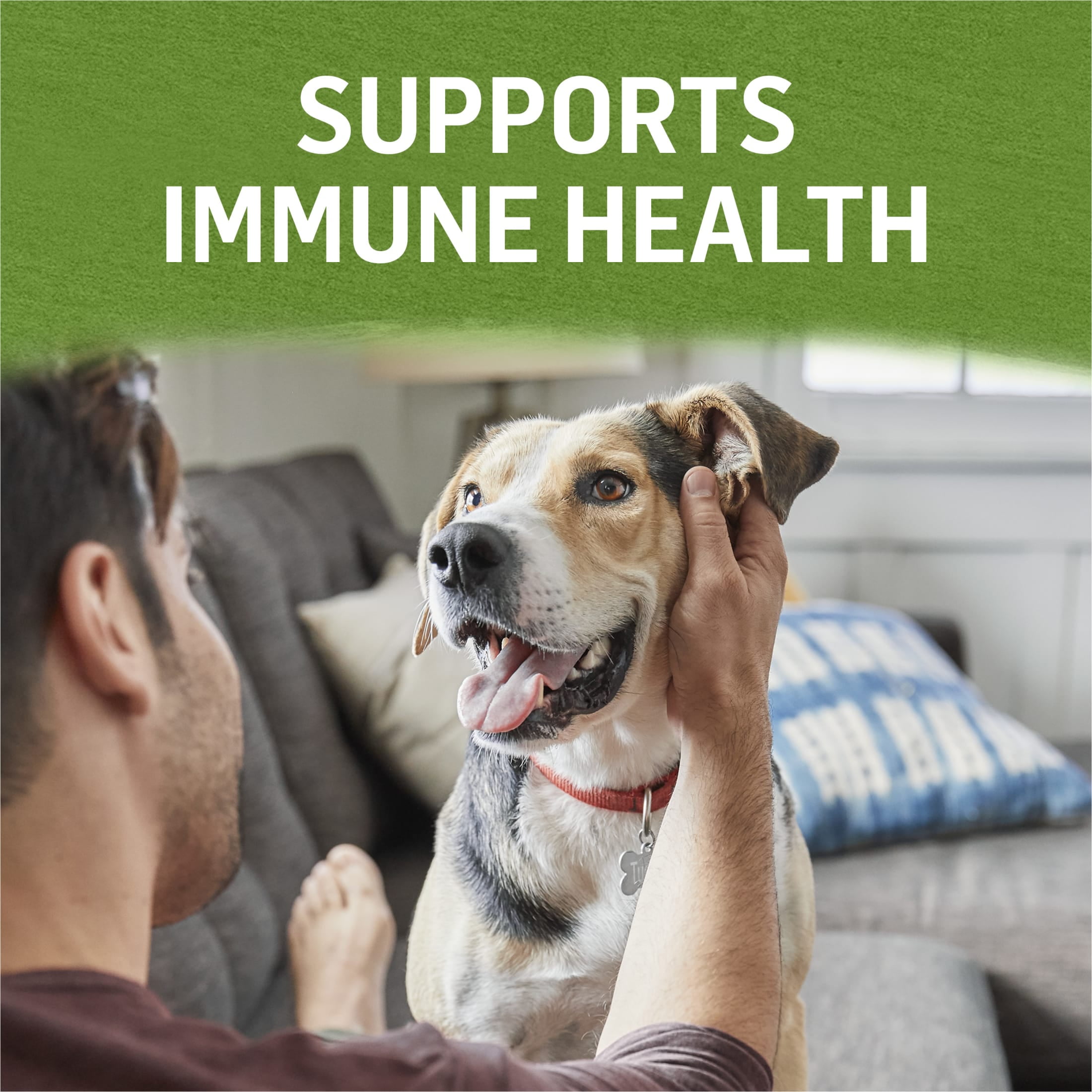 Purina Beyond Immune Health Wet Dog Food Real Soft Chicken, Lamb & Spinach, 13 oz Can