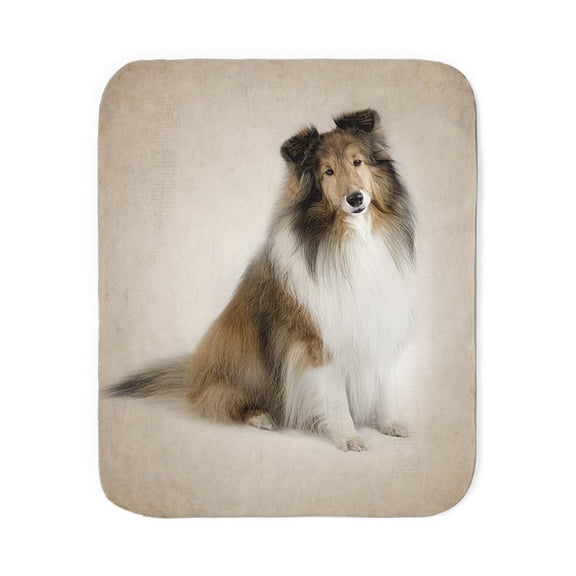 CafePress - Sheltie - Sherpa Fleece Throw Blanket 60" x 50"