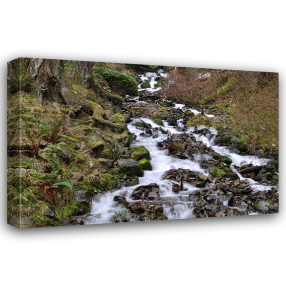 Logan Thomas 18x13 Gallery Wrapped Canvas Wall Art Titled - Stream Falls VI