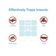 thumbnail image 3 of Paquete de 40 tarjetas adhesivas de recarga compatibles con las trampas para moscas Safer Home SH502, 3 of 6